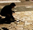Click here for laying down of irregular shape stones