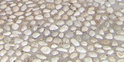Pavimento in ciottoli di fiume e rizzata colore misto bianco