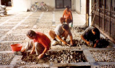 Posatori specializzati lastre, cubetti, ciottoli, pietre da pavimentazione e rivestimento